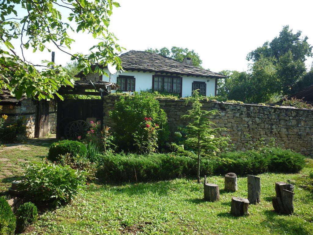 Guesthouse Peyna Екстер'єр фото